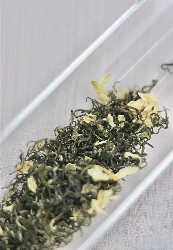 _喝茶什么季节喝什么茶好_喝茶季节讲究