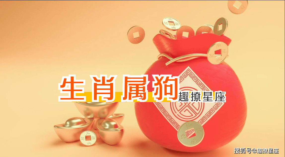 生肖运势男猪女狗配吗(男猪女狗配吗?)