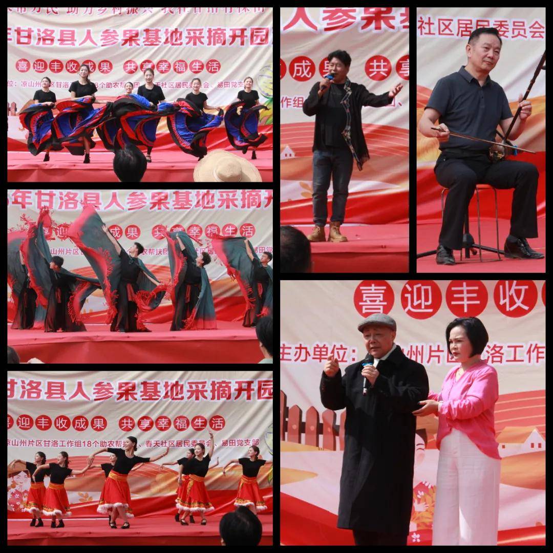 甘洛县"万家帮万民 助力乡村振兴"人参果采摘开园仪式隆重举行