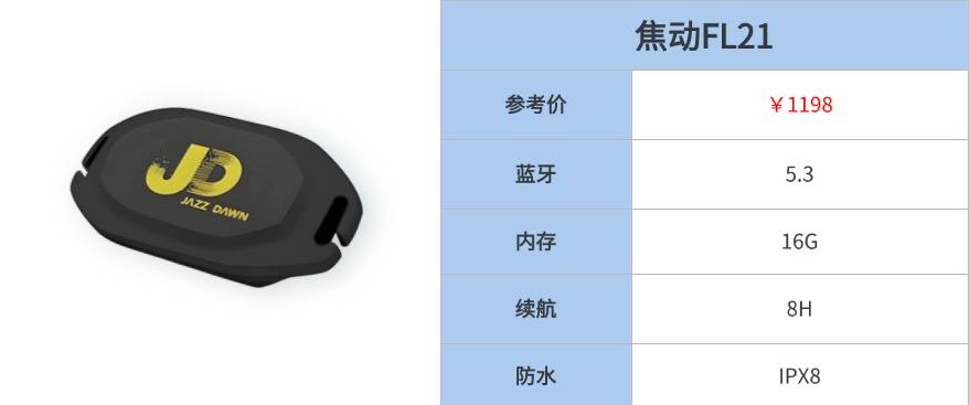 最好的游泳耳机推荐品牌有哪些?游泳耳机排行榜前十名全解析