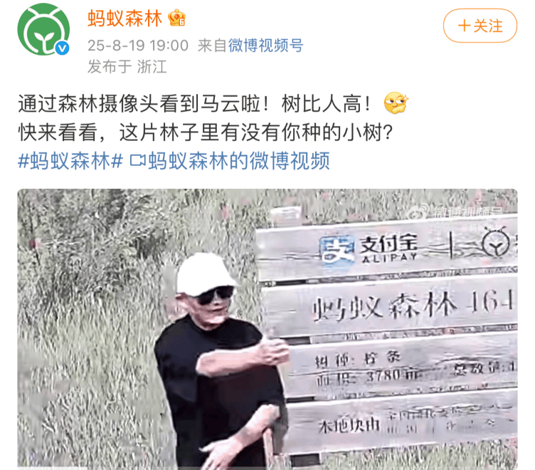 马云时隔6年再访蚂蚁森林，比种的树都矮了，还吃了当地西瓜