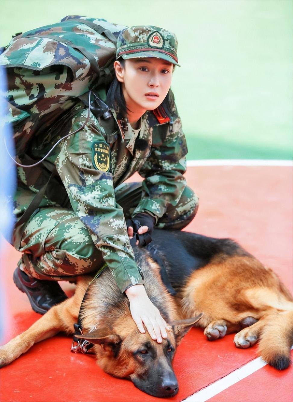 回看神犬奇兵,何捷我怀疑你对张馨予,是一见钟情!有证据