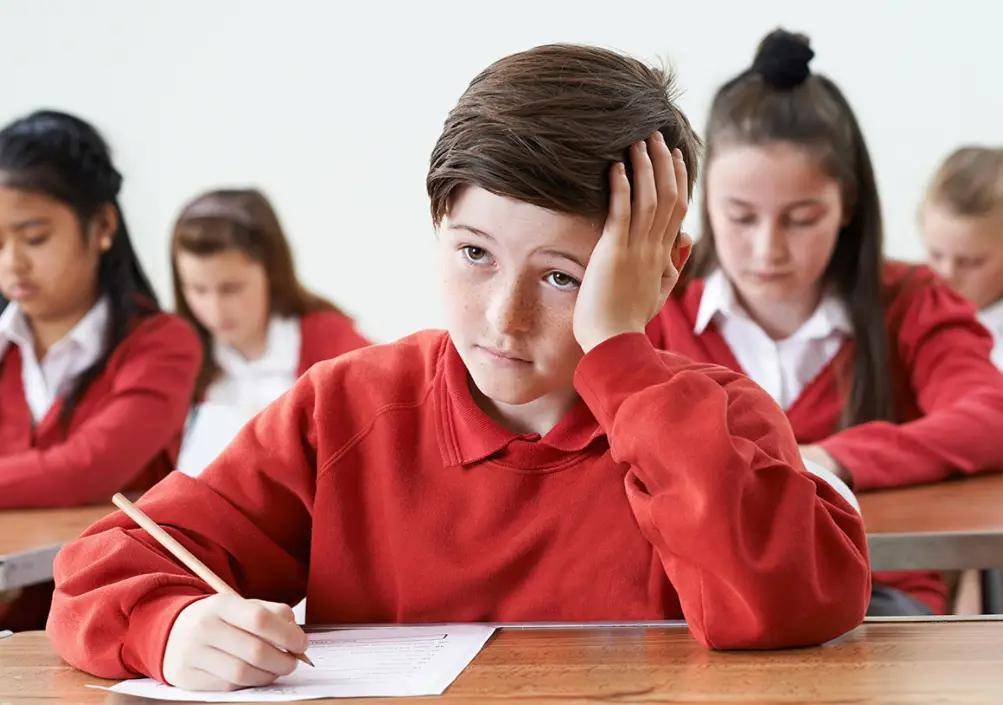 图片[3]-一篇文章告诉你：澳洲到底有什么好？ -华闻时空