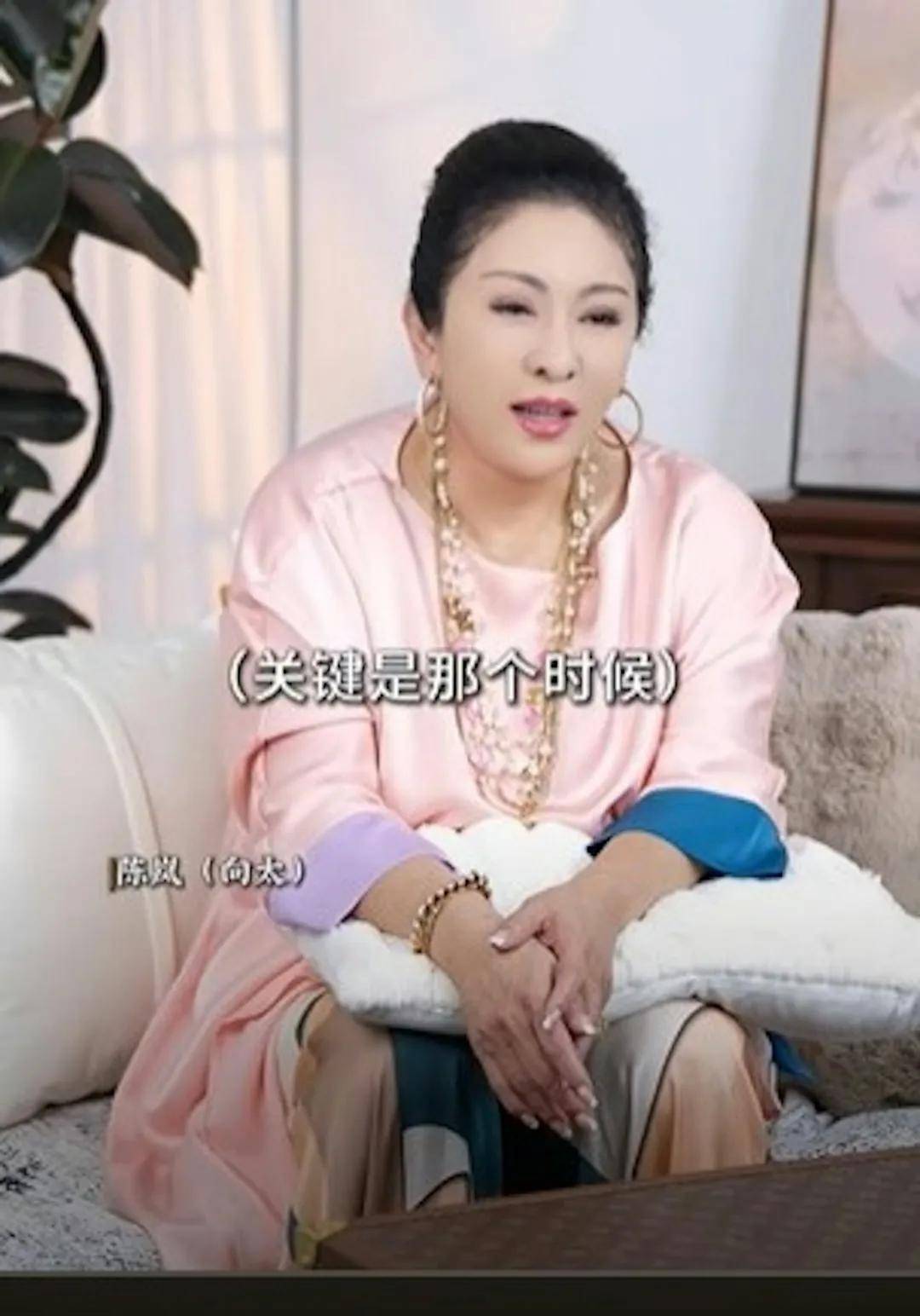 向太陈岚揭往事承诺要养向华强前妻一世提高20倍抚养费给丁佩