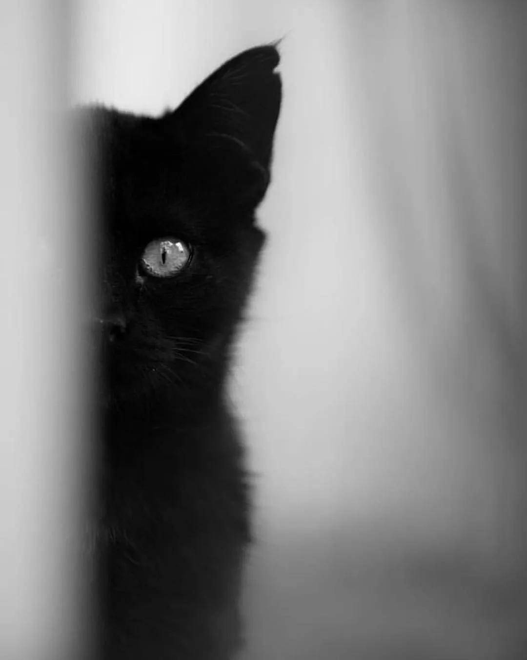 让我们怀揣着一颗对艺术的敬畏之心,在这一幅幅极品之作前久久驻足