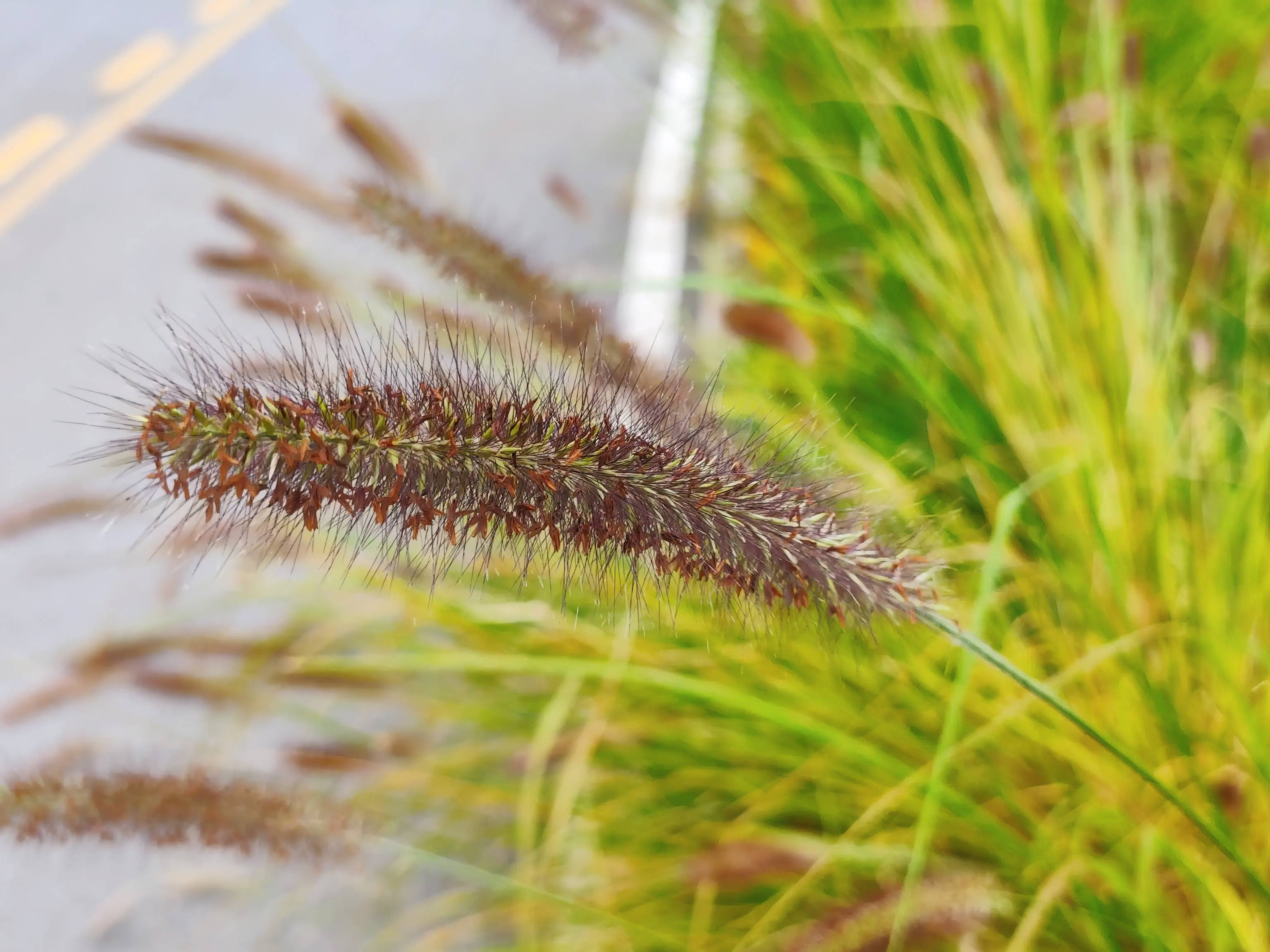 三百块,装下整个青春?松典DC218:从此,你的青春有图有真相!