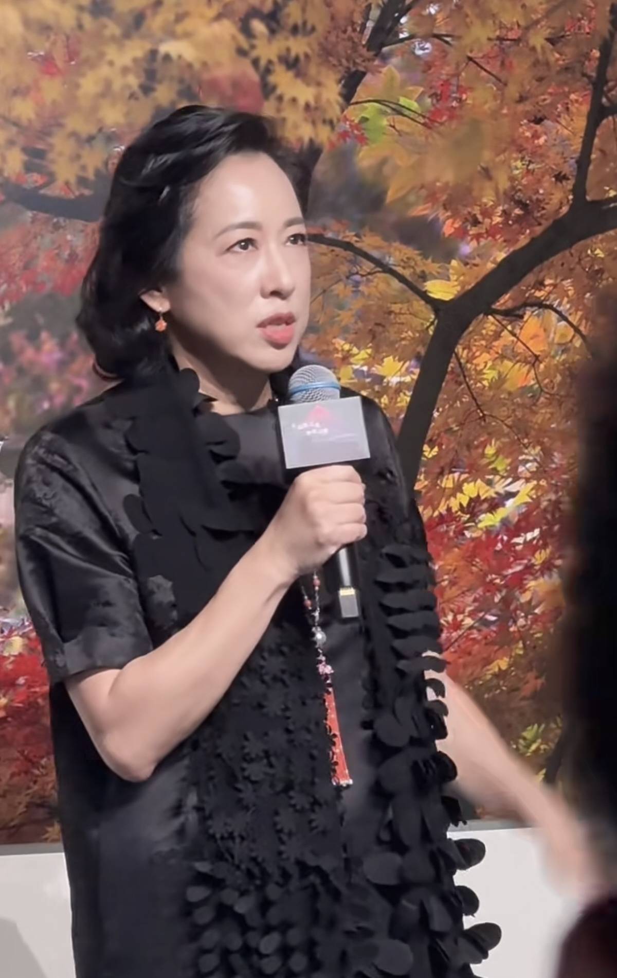 朱玲玲上海举办个人摄影展罗康瑞坐台下前排朱玲玲穿红鞋好自信