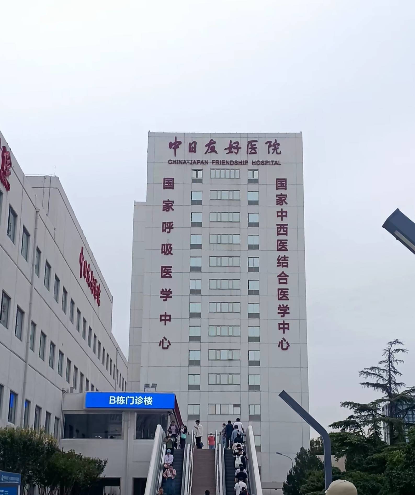 包含中日友好医院预约检查陪诊挂号覆盖北京全三甲的词条 包含中日友好医院预约检查陪诊挂号覆盖北京全三甲的词条