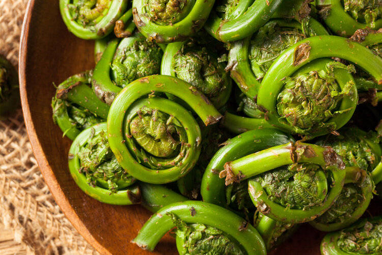 原创            3种蔬菜已被列入“致癌名单”，吃多了会致癌？终于有人说出真相