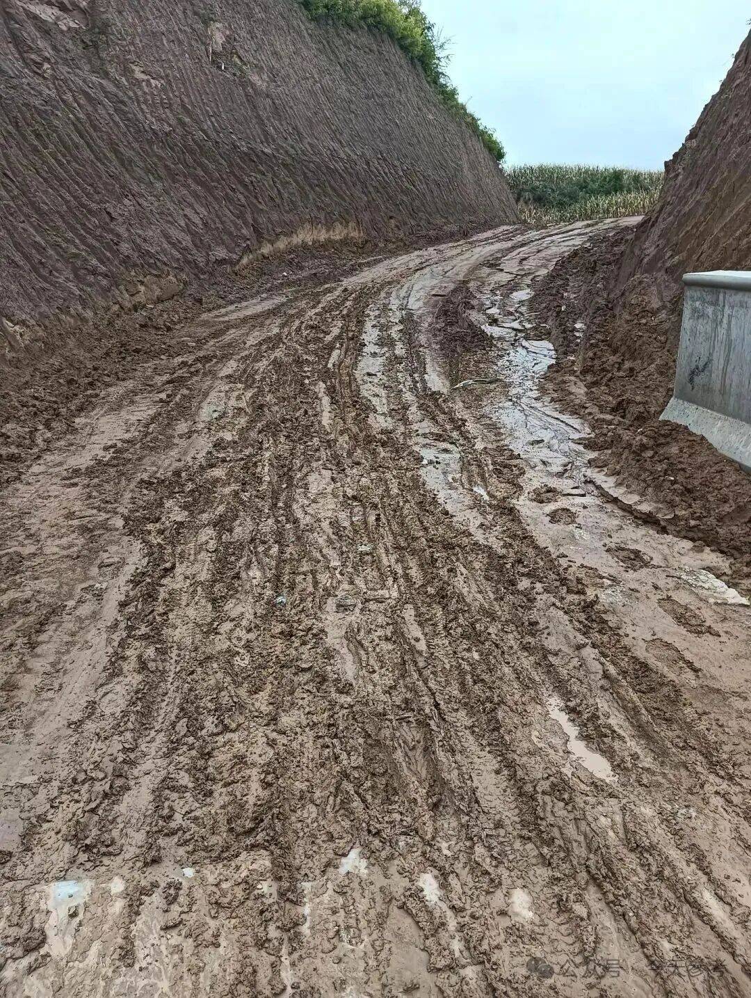 忻府区兰村乡磨盘村:道路泥泞滑湿寸难行,何日人车出行变坦途?