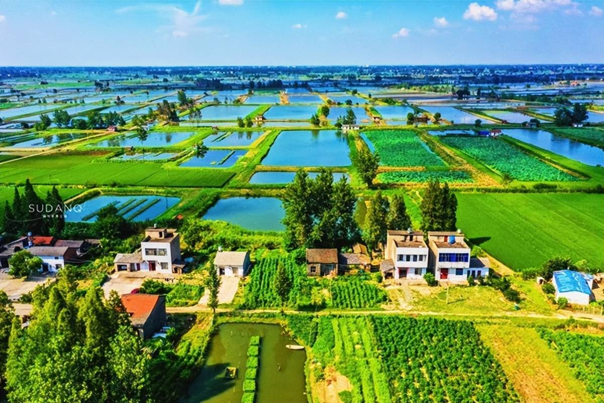 富饶的江汉平原为何没有诞生大城市?东边的武汉成名太早了