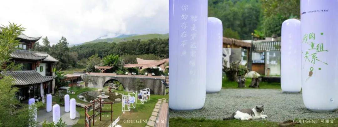 可丽⾦以「重组」贯穿全年，层层递进实现真正悦己-锋巢网