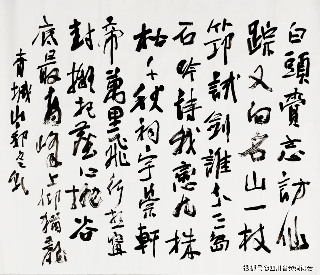 蜀诗-蜀诗合辑-2025年第42期（总第78期）（图9）