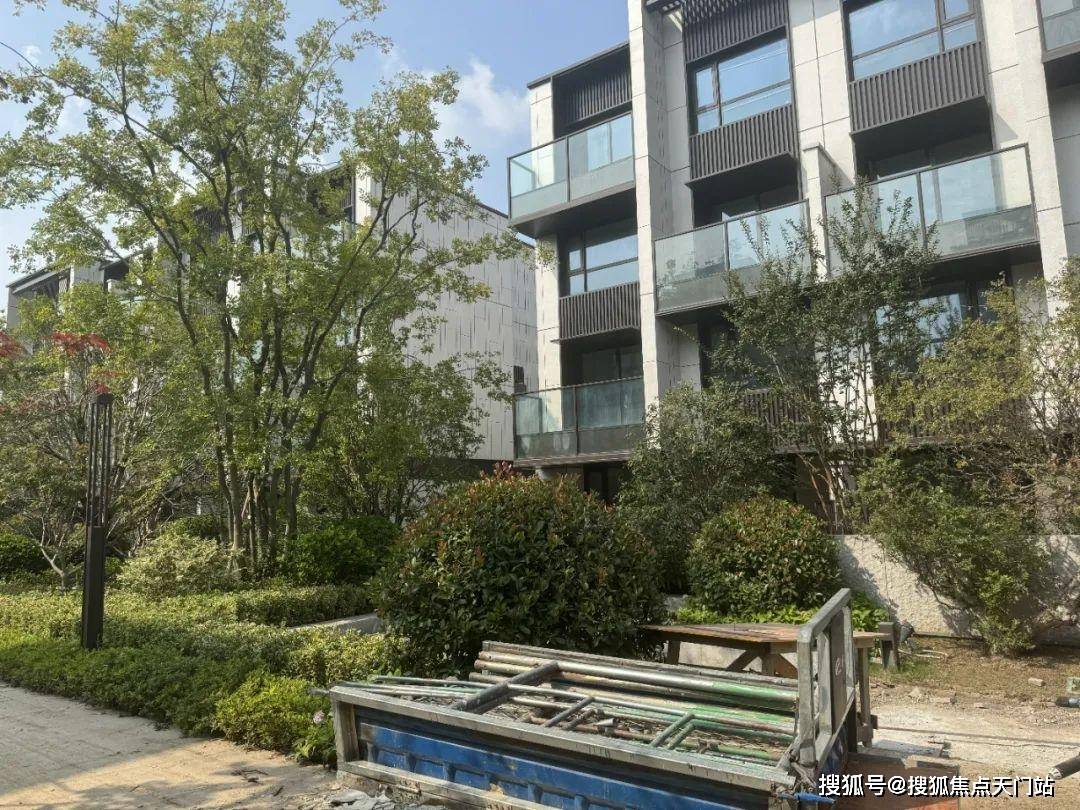 分析一下大华梧桐院值得买吗?