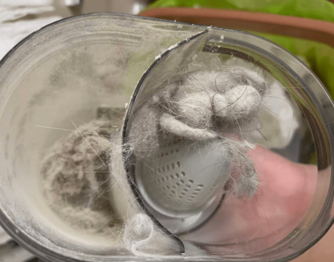 怎样挑选除螨仪?除螨仪排行榜前十品牌综合推荐!告别选择困难