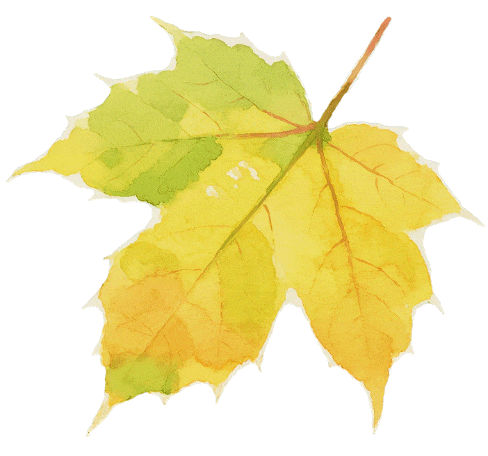 702_657gif 动态图 动图