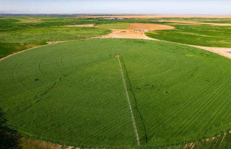 国际奥委会主席为什么点赞中国蒙牛-锋巢网