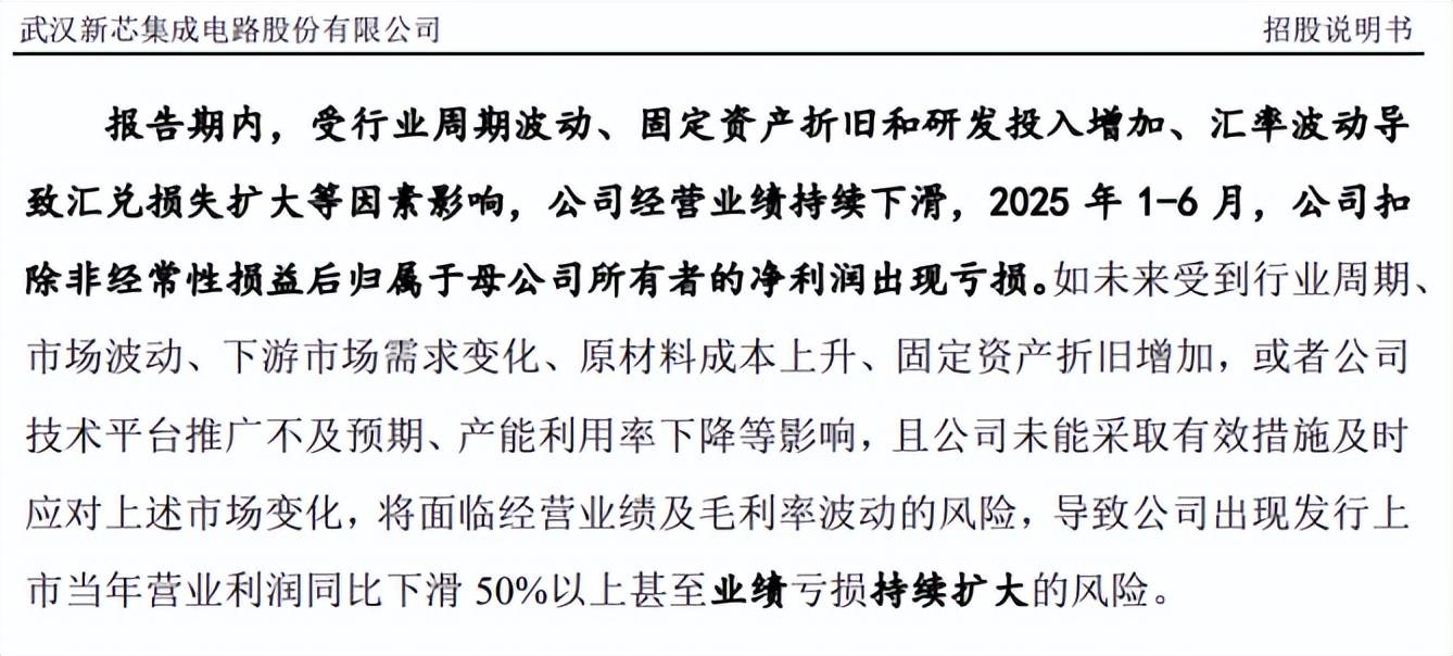 新芯股份IPO:无实控人董事长美国籍 2025年前三季预亏1.2亿(图4)