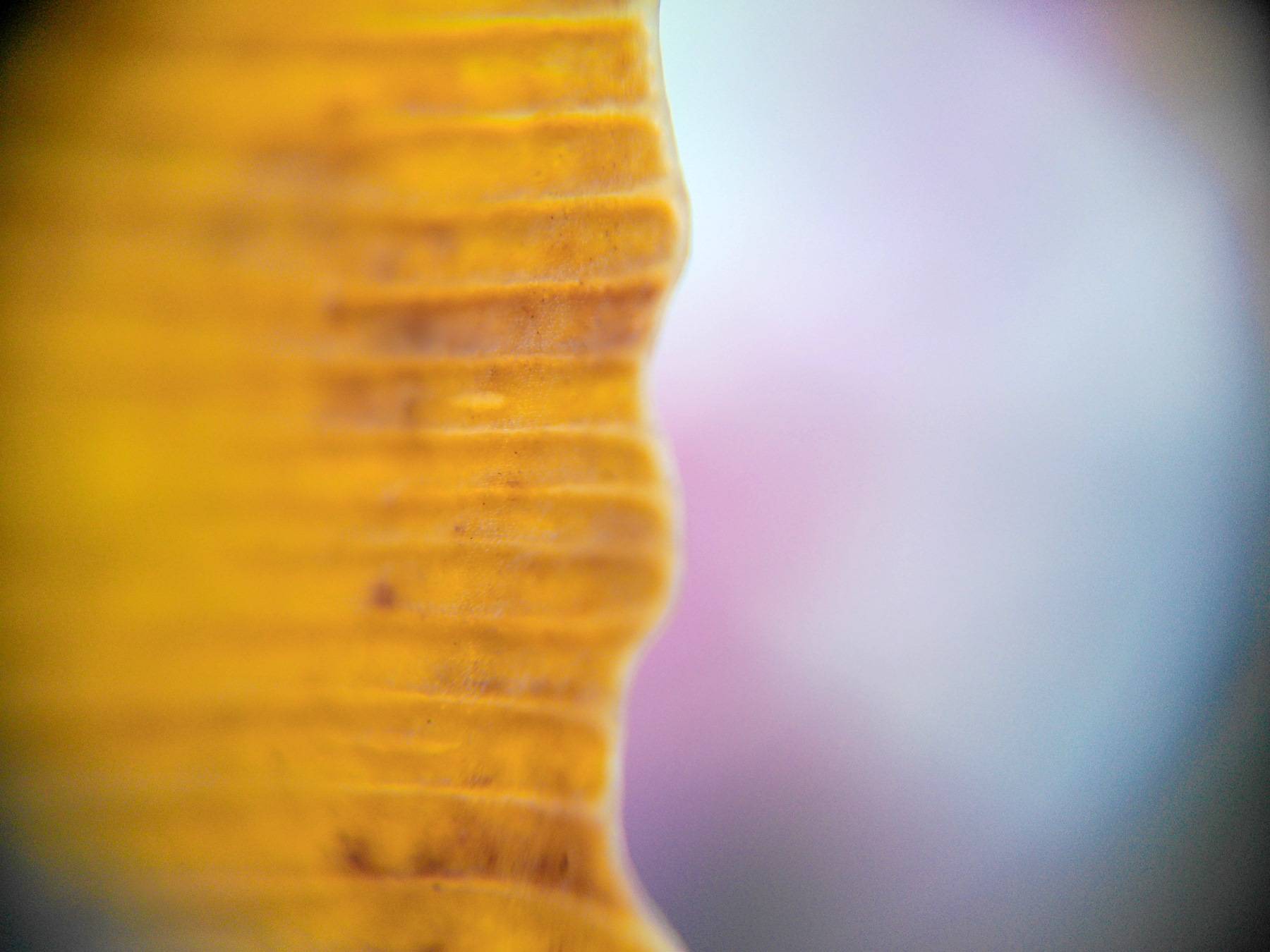 松典VE418,大底高像素,国产卡片机画质越级新标杆