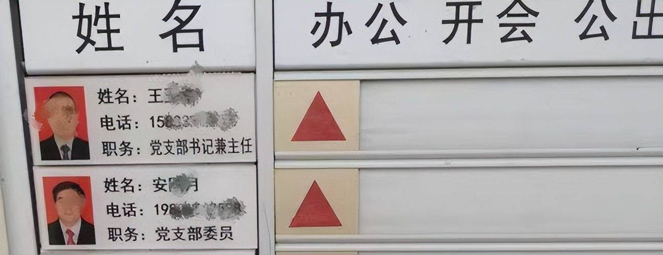 河北定州"康养项目"变"商品房":农耕地里建起511套小产权房(图5)