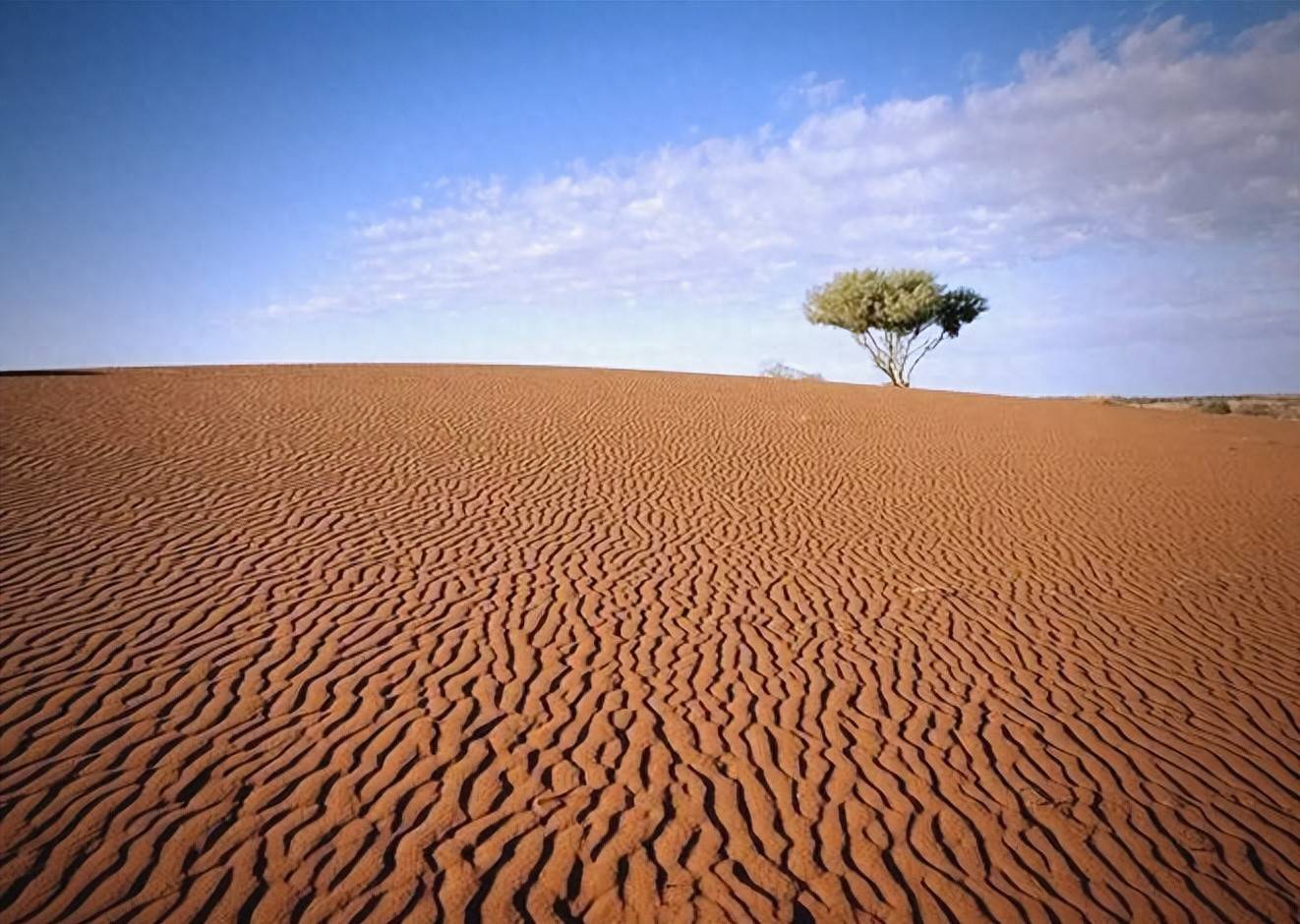 澳大利亚冷知识