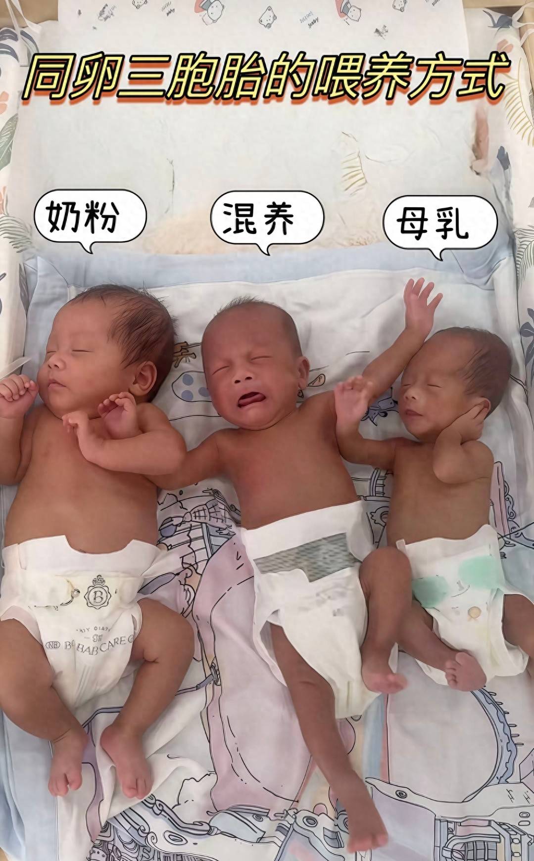 三胞胎一个喝奶粉,一个混合喂养,一个纯母乳,看起来像大中小号