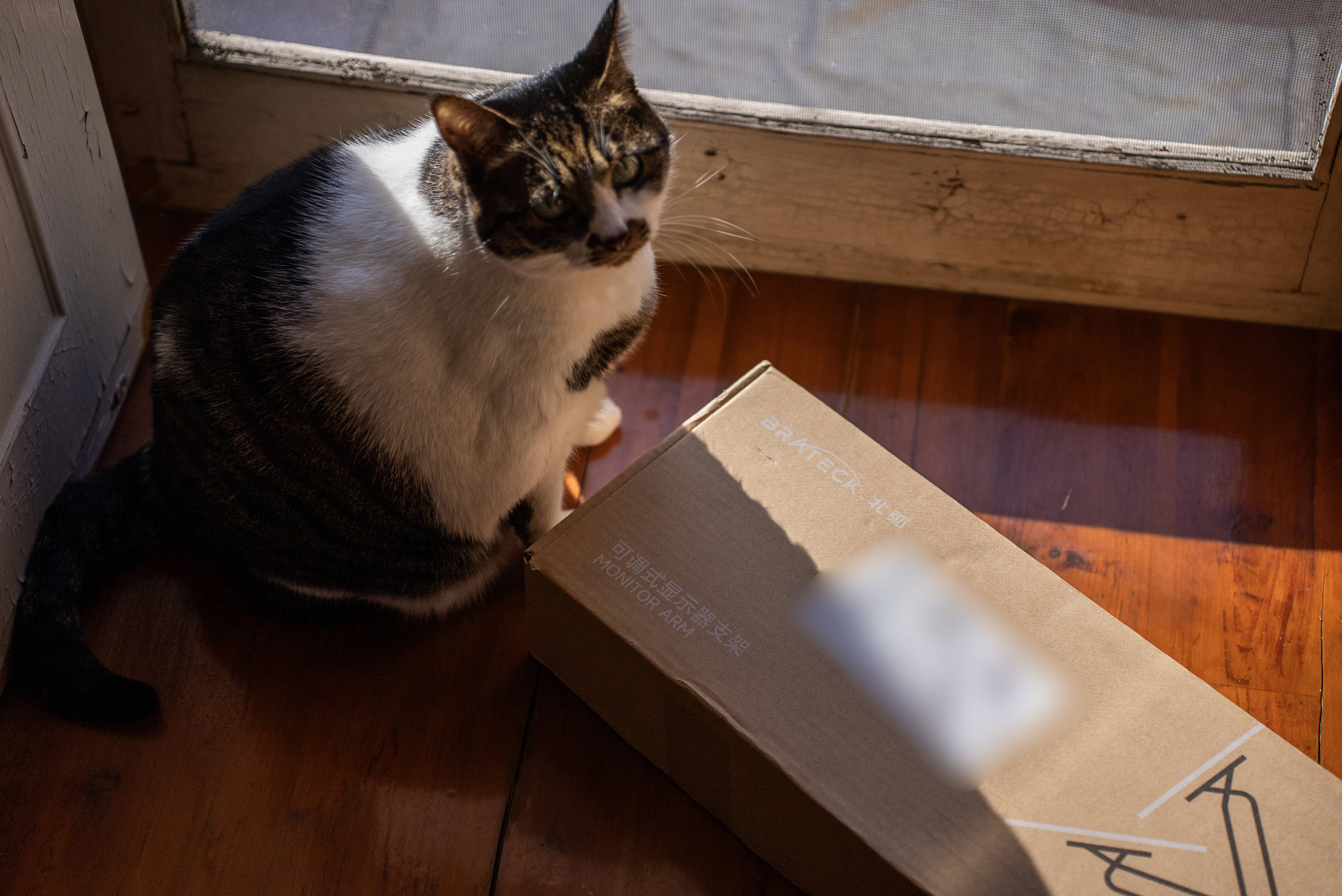 显示器标配底座太矮又太占桌面空间？北弧显示器支架了解一下