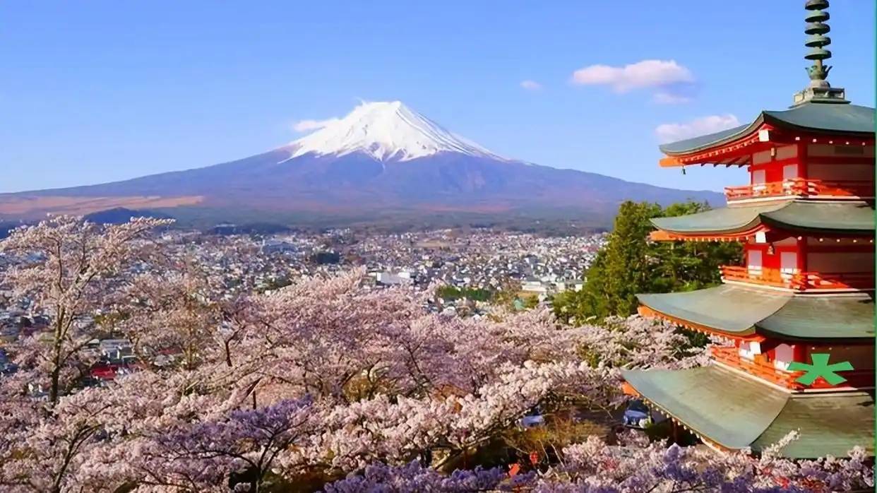 图片[4]-日本网友晒京都空荡荡车厢，称中国游客少了真舒服，引千万人热议 -华闻时空