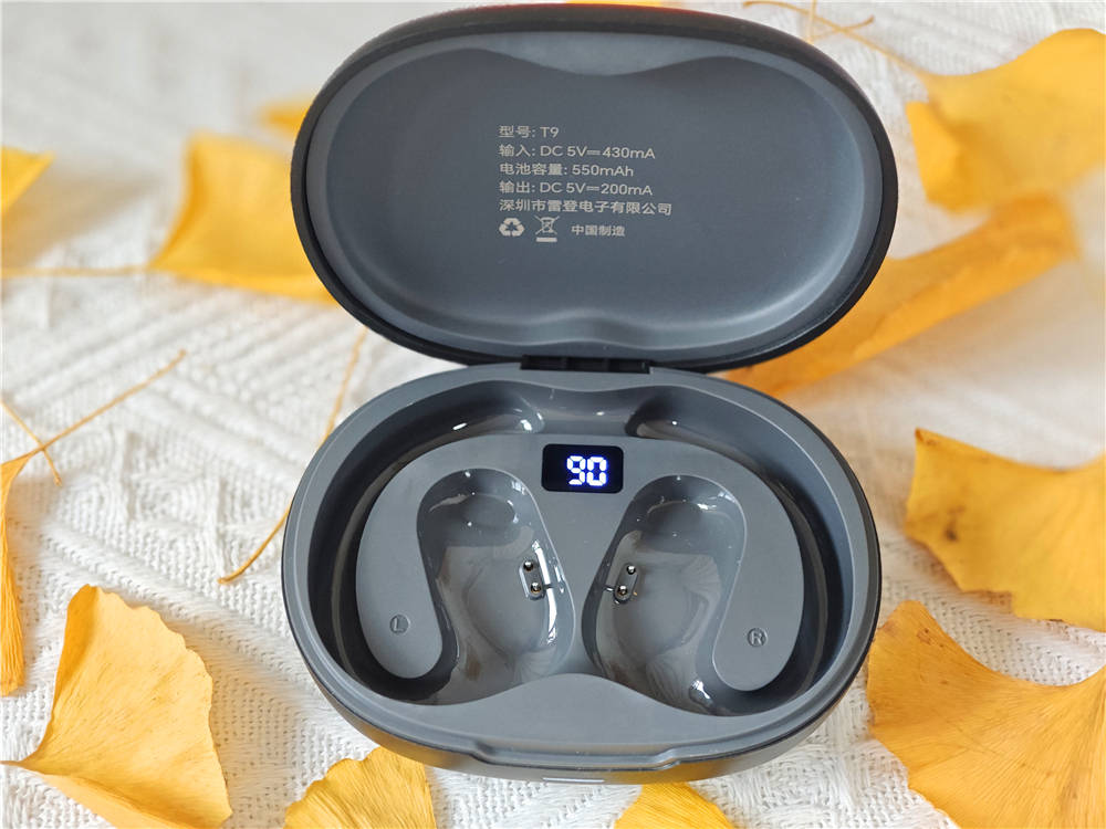 低音澎湃、无感佩戴、超长续航,雷登T9值得拥有