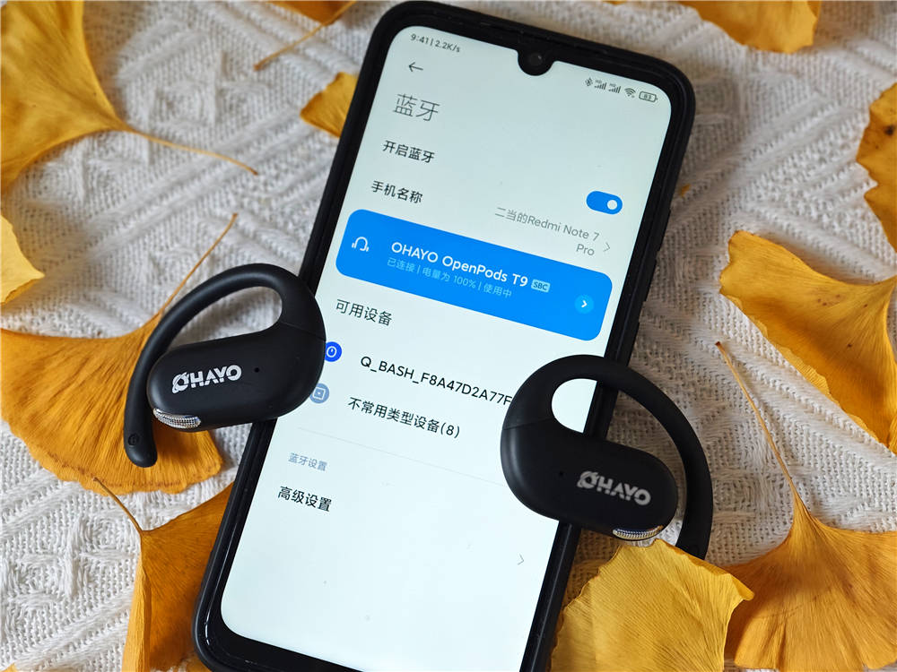 低音澎湃、无感佩戴、超长续航,雷登T9值得拥有