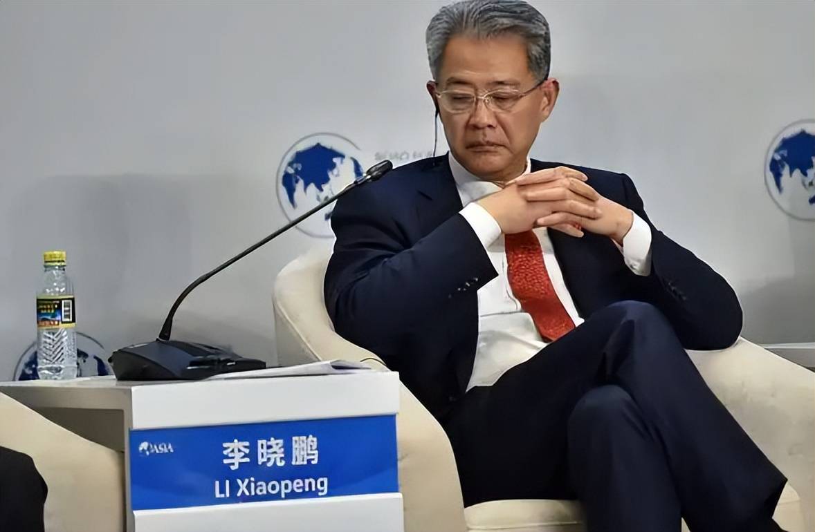 敢贷款给许家印的李晓鹏,家族式产业链的贪腐有多骇人听闻?