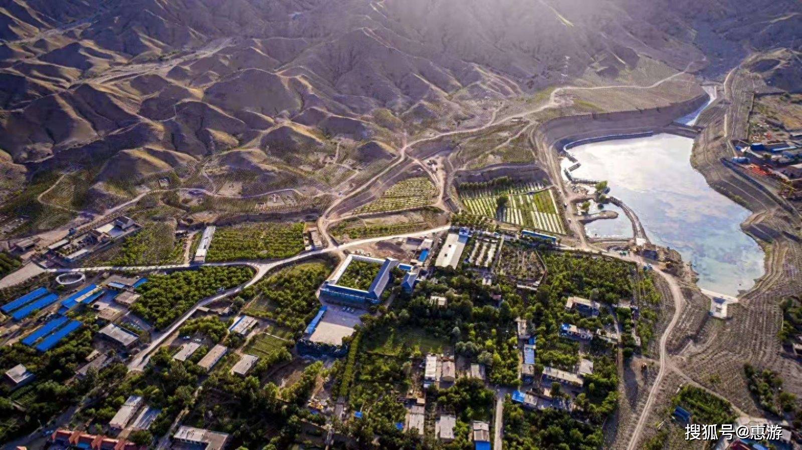 任明的根系:在贺兰山下种一座"金矿"