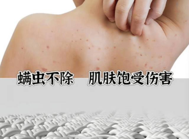 家用除螨仪哪个牌子好？除螨仪什么价位的好用？十大高口碑除螨仪品牌排行榜单揭秘！