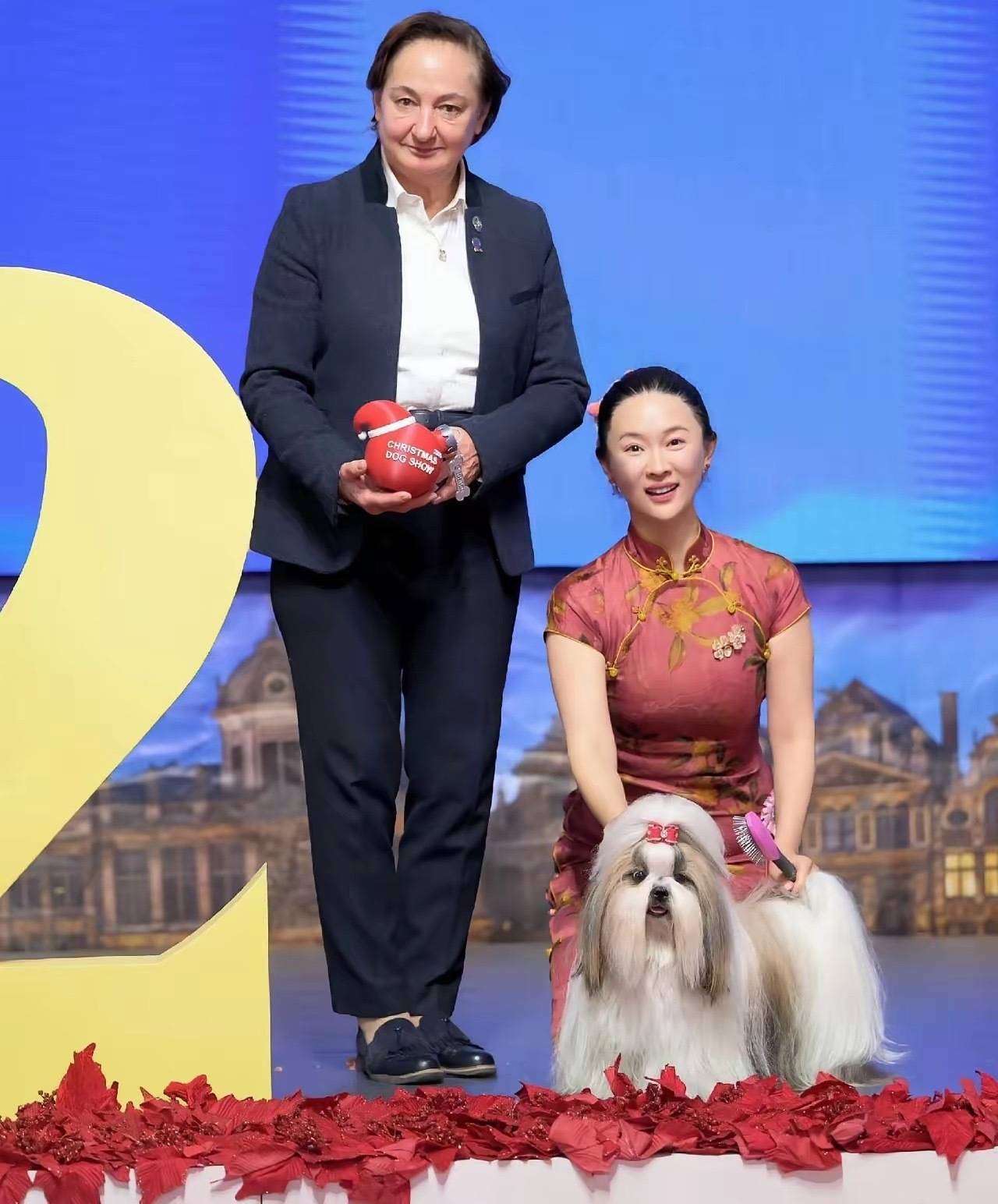 霍思燕瘦身后穿旗袍带西施犬夺冠葫芦身材尽显东方优雅