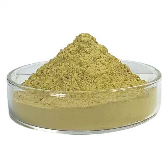 陶瓷行业新趋势:一款陶瓷氧化锌如何同时解决安全与质感难题?