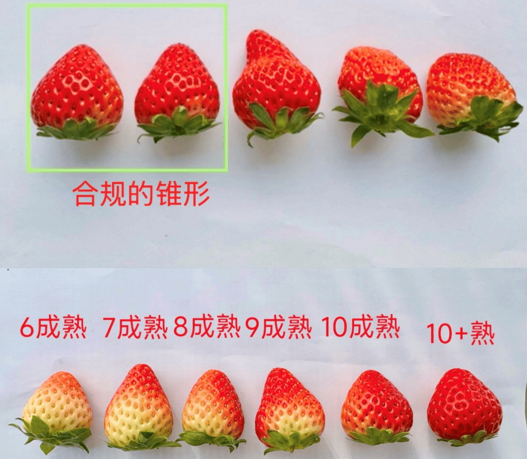 京东七鲜烘焙是怎么炼成的？