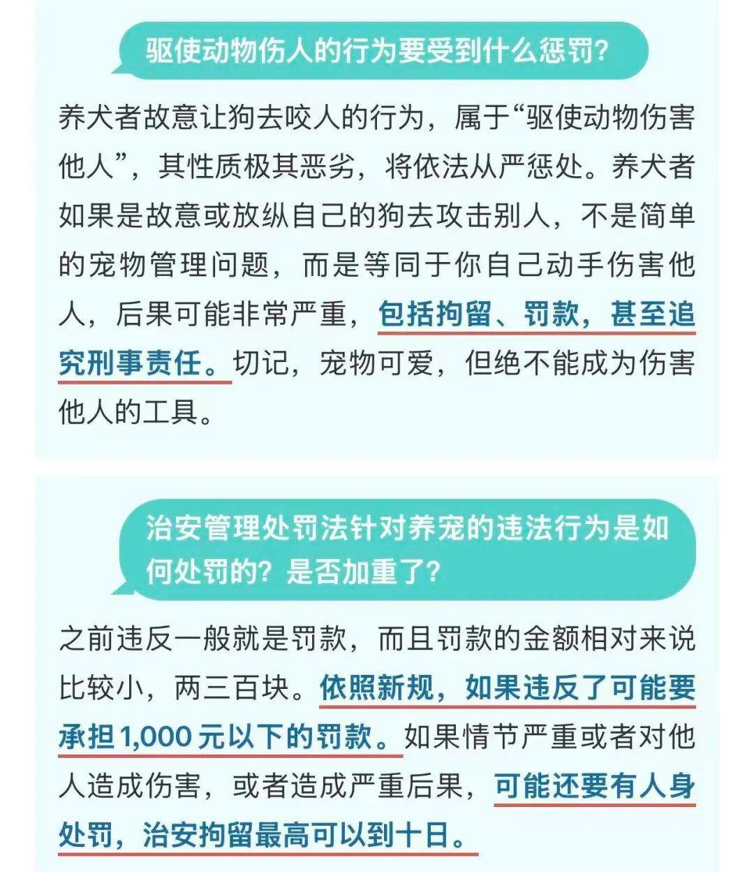 下月起不文明养犬行为最高可拘留10天罚1000元网