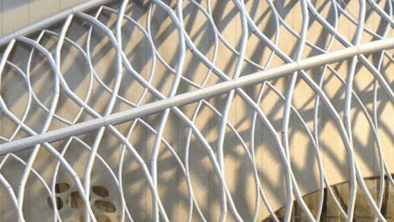  横琴3.6万㎡“莲花觅境”夜景闪亮登场！(图2)