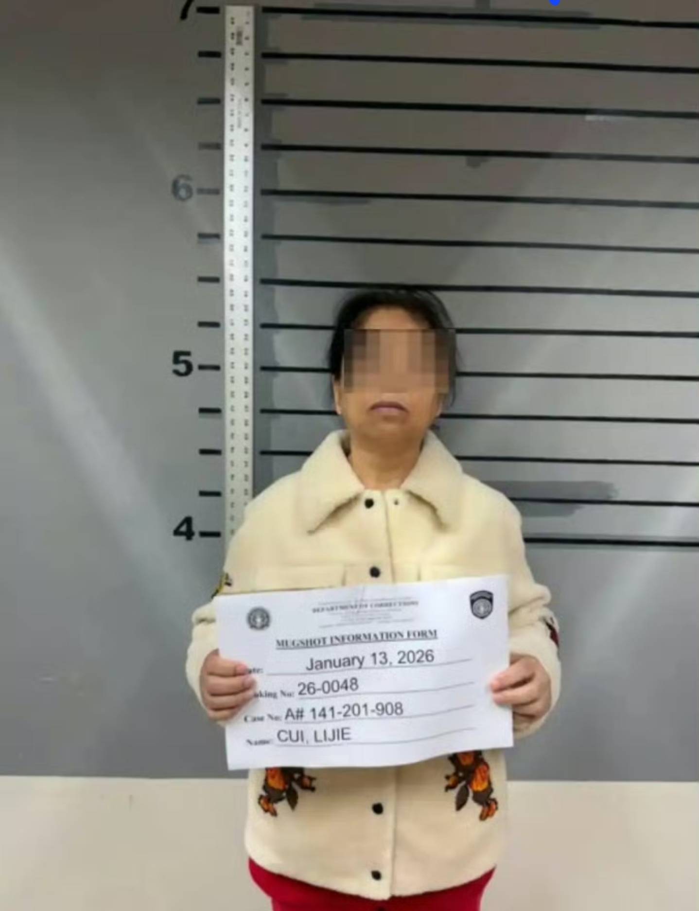 就在崔丽杰被捕前两天,ice刚宣布新增了1万多名执法人员,并且因为在