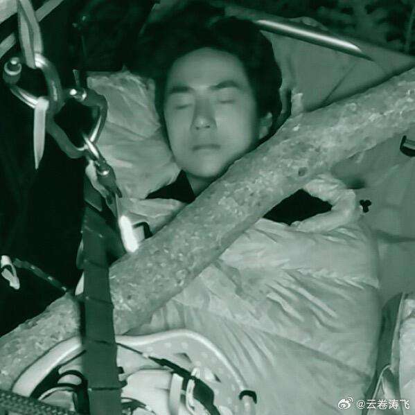 王一博树上睡觉质量95分!探索生活平衡点,粉丝:这爱好太独特