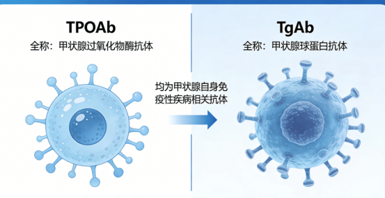甲状腺肿大别忽视！甲状腺专家武医生总结4大病因，超过90%的病例与“它”有关