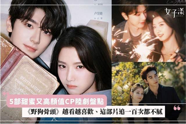 5部甜蜜又高颜值CP盘点！ 《野狗骨头》越看越喜欢、这部片追一百次都不腻