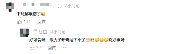  “没睡醒的懒狮”！广州越秀公园回应：立刻“开机重启”(图6)