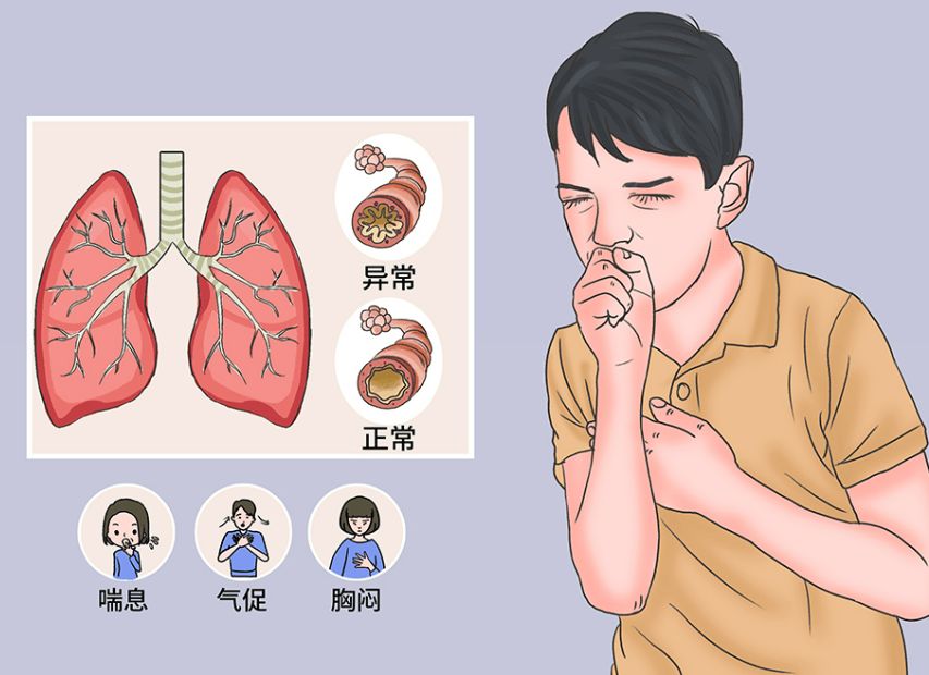 除螨仪哪个牌子的好用质量好？除螨仪什么牌子好？断层爆款除螨仪10大品牌排行榜最新，闭眼入