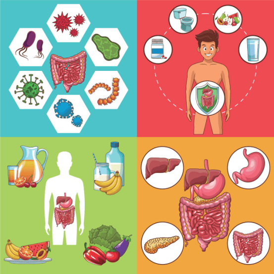 康婷集团提醒：放屁多不是排毒！4 种异味或为肠道健康预警