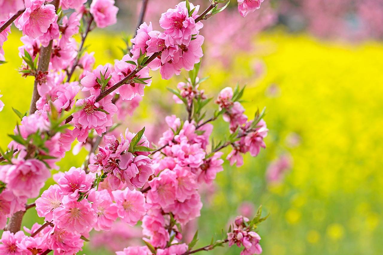 【东方24节气·立春】萌动节气，唤醒心身