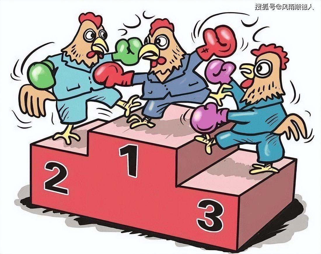 2026年2月12日开放式基金净值增长Top10和垫底10榜单