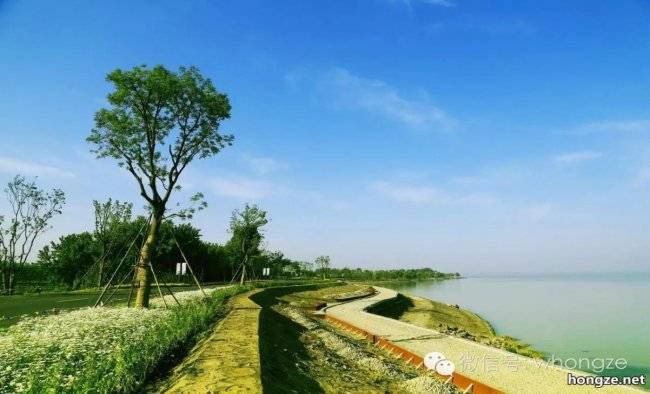 淮安市洪泽区2026年春季游线攻略(图7)