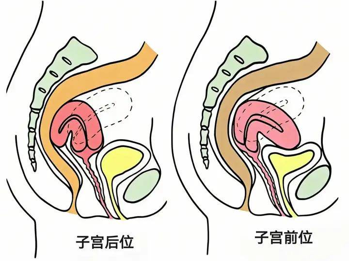 痛经也划分成7个等级？注意疼到第5个等级,赶紧就医了