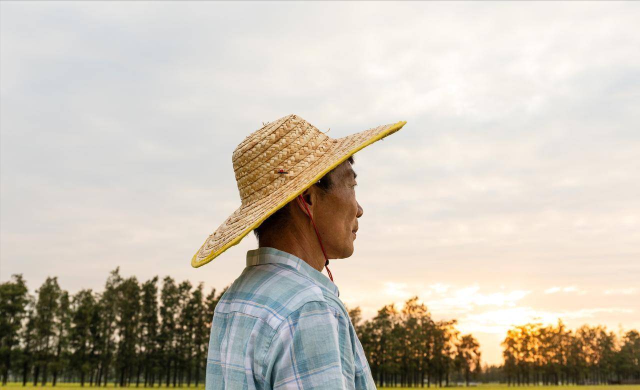 200元养老金难撑体面晚年:白岩松两会发声,直言农民养老金太低-图片9